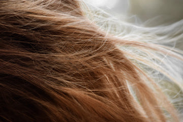The Science of Genetics in Hair Loss and Growth